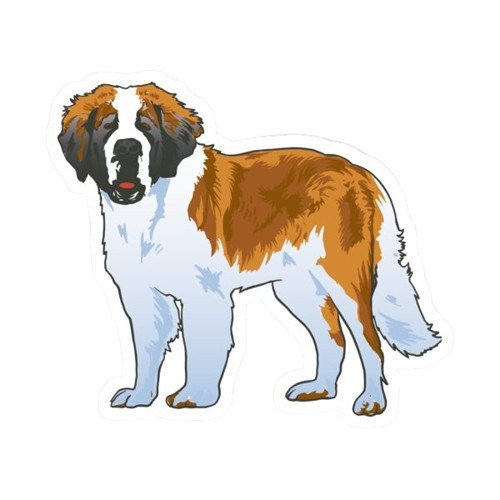 SAINT BERNARD PUPPY HOMES