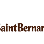 SaintBernardPuppyHome