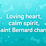 ST B